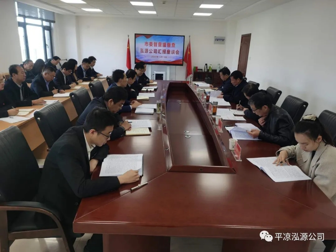 市委辦公室、市政府國資委督查泓源公司工作(圖4)