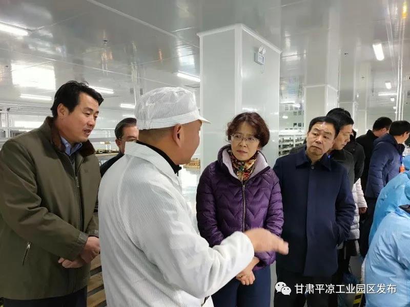 省市人大代表來平涼工業(yè)園區(qū)視察(圖2)